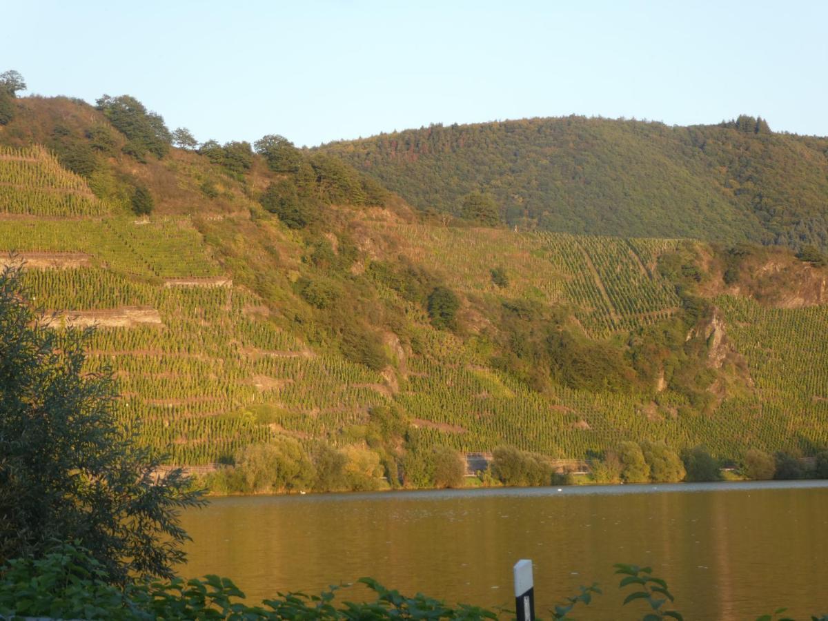 Hotel Hausboot Moselrose In Poelich à Polich Extérieur photo